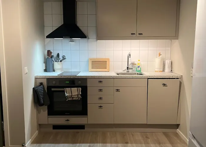 Apartamento Bright And Pleasant Basement Near Downtown, Lys Og Trivelig Kjellerleilighet I Sentrumsnaert *