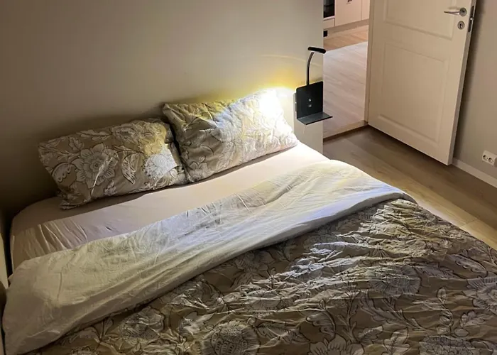 Bright And Pleasant Basement Near Downtown, Lys Og Trivelig Kjellerleilighet I Sentrumsnaert Apartamento