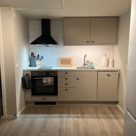 Апартаменты Bright And Pleasant Basement Near Downtown, Lys Og Trivelig Kjellerleilighet I Sentrumsnaert *