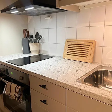 Bright And Pleasant Basement Near Downtown, Lys Og Trivelig Kjellerleilighet I Sentrumsnaert Апартаменты *