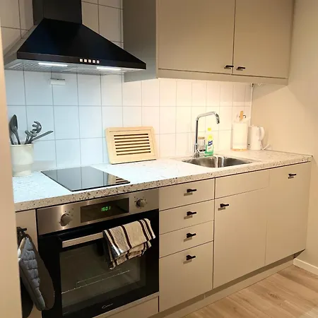 Bright And Pleasant Basement Near Downtown, Lys Og Trivelig Kjellerleilighet I Sentrumsnaert Киркенес